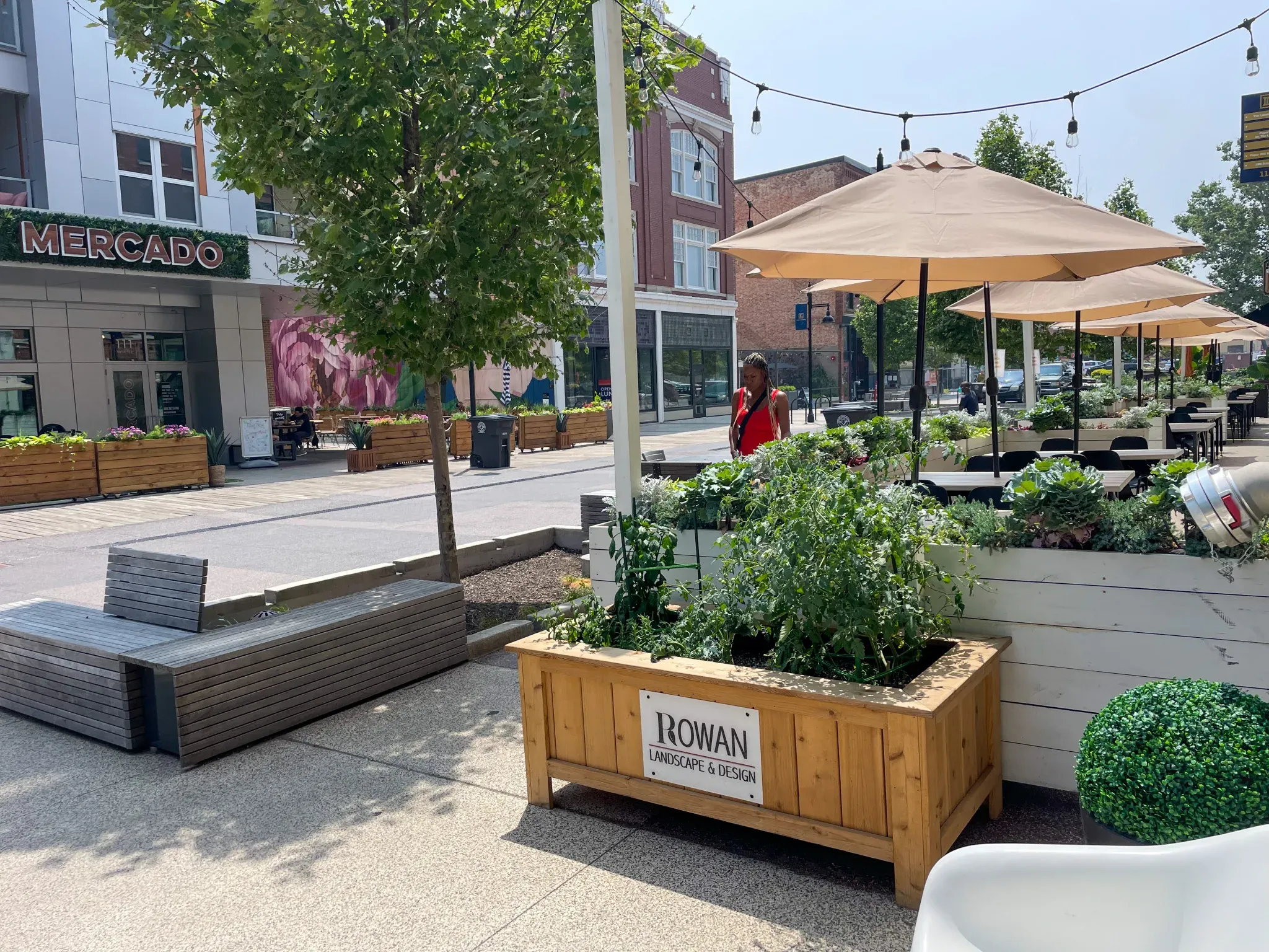 Rowan Landscape & Design project photo 106
