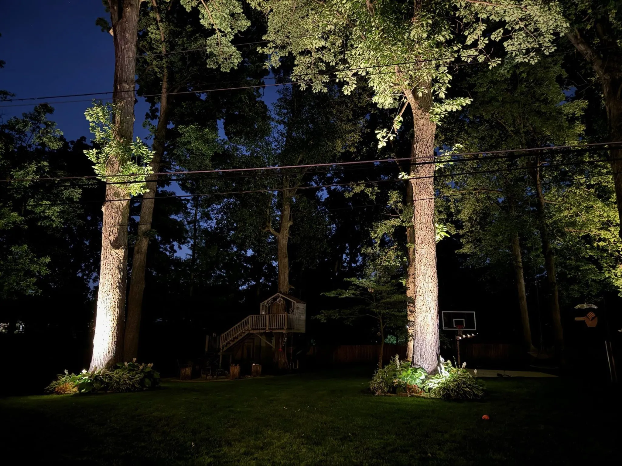 Rowan Landscape & Design project photo 159