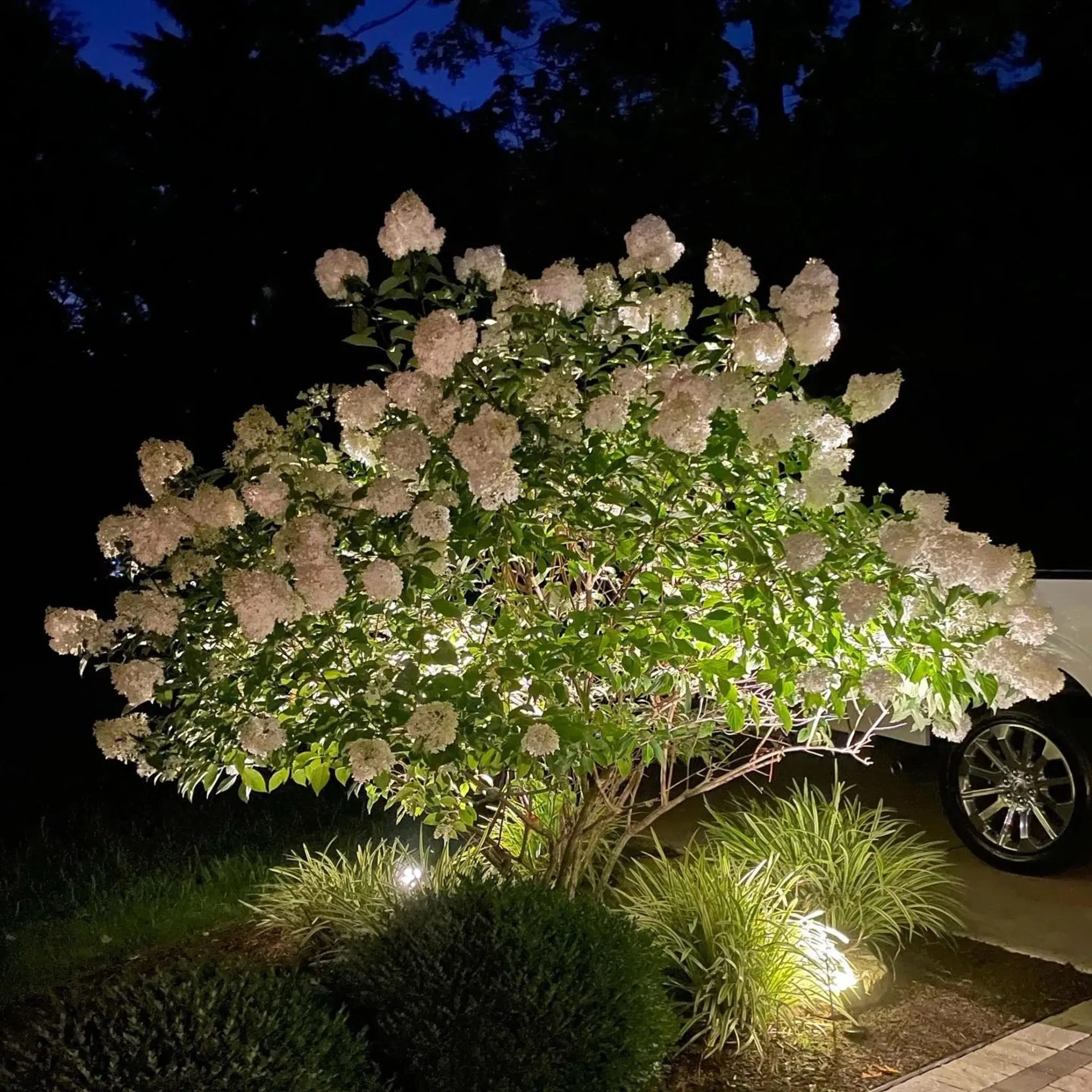 Rowan Landscape & Design project photo 171