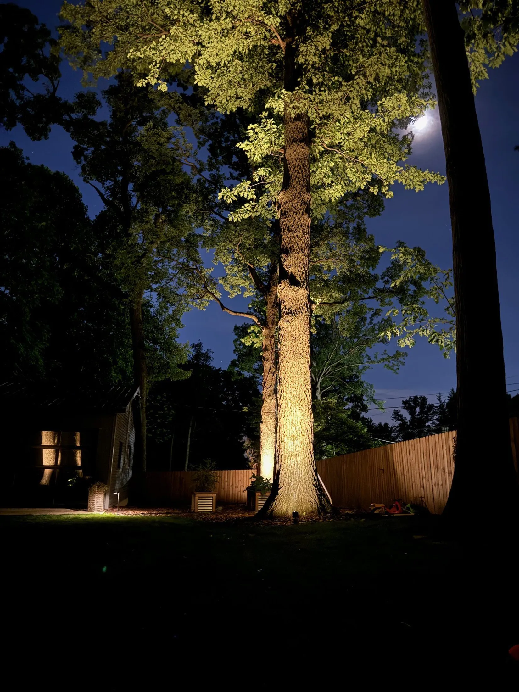 Rowan Landscape & Design project photo 158